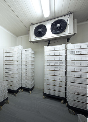 Temperature-controlled refrigeration